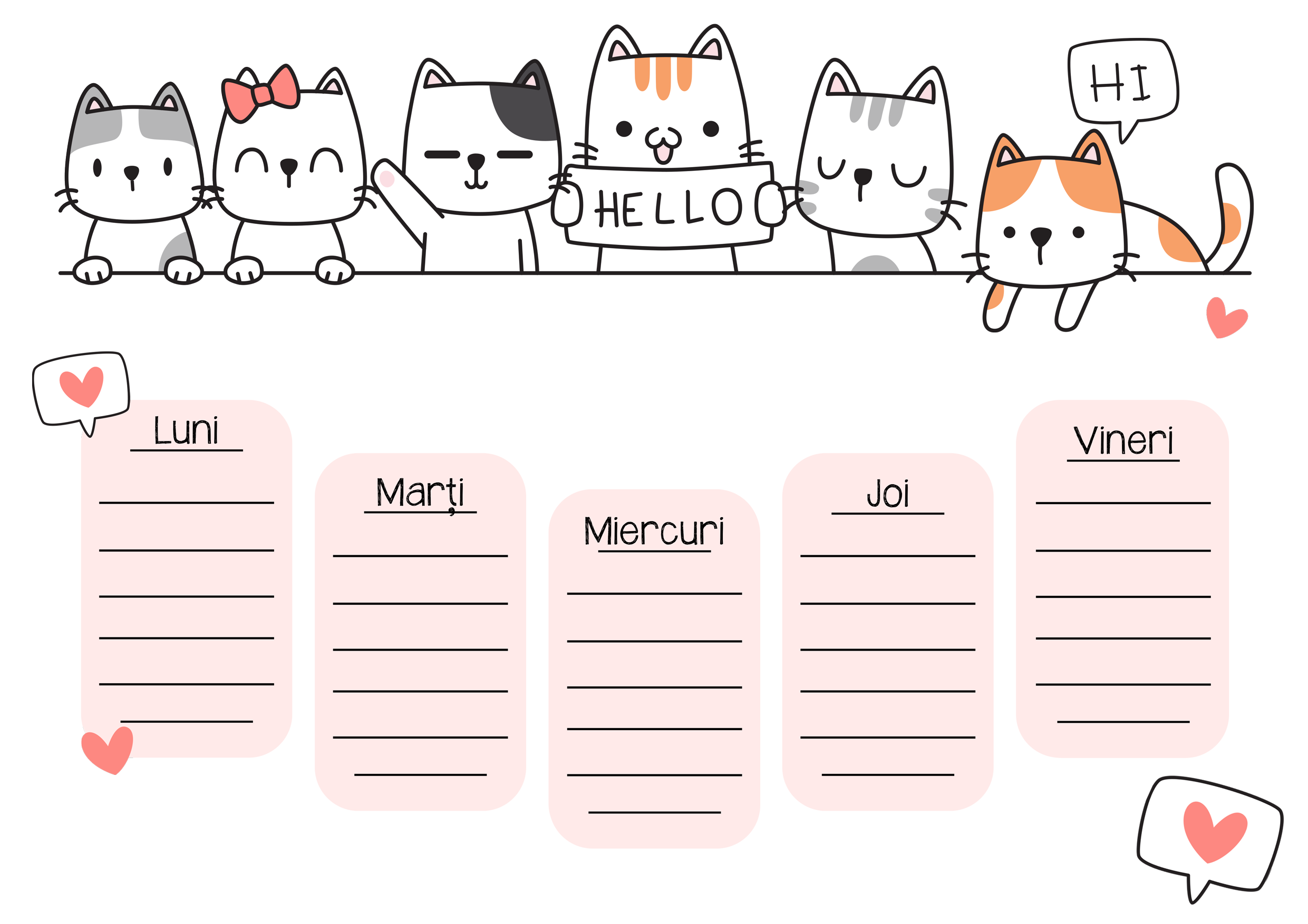 Orar Editable Orar personalizat cu text - Kitty | StarGift.ro
