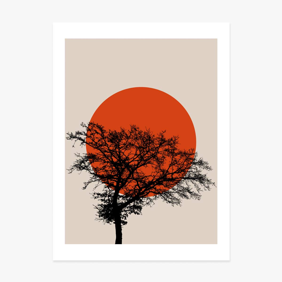 Poster Abstract Sun