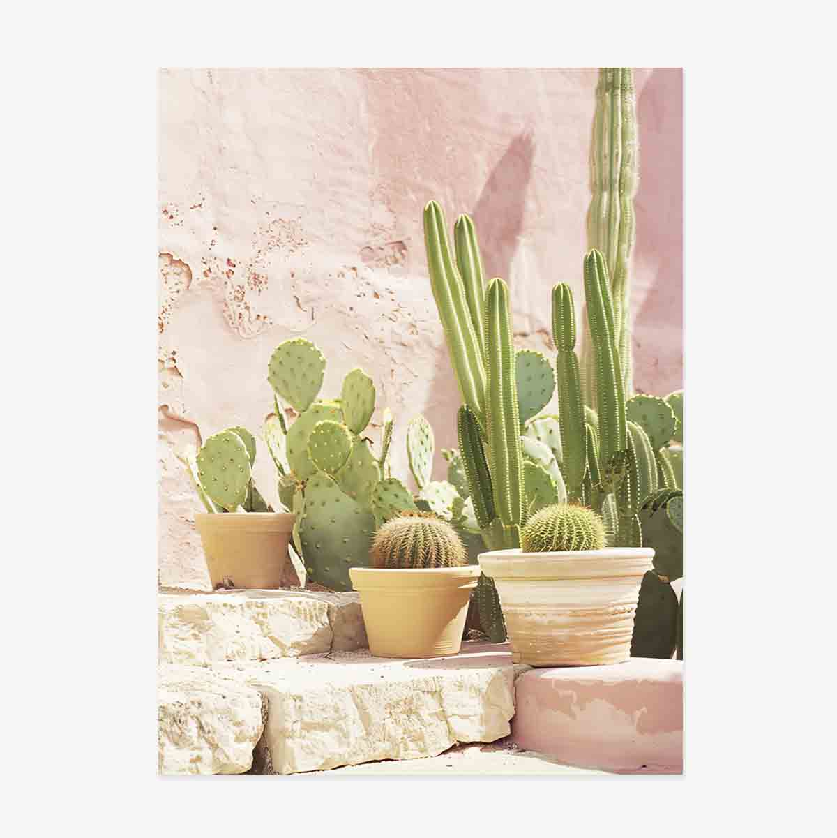 Poster Cactuși