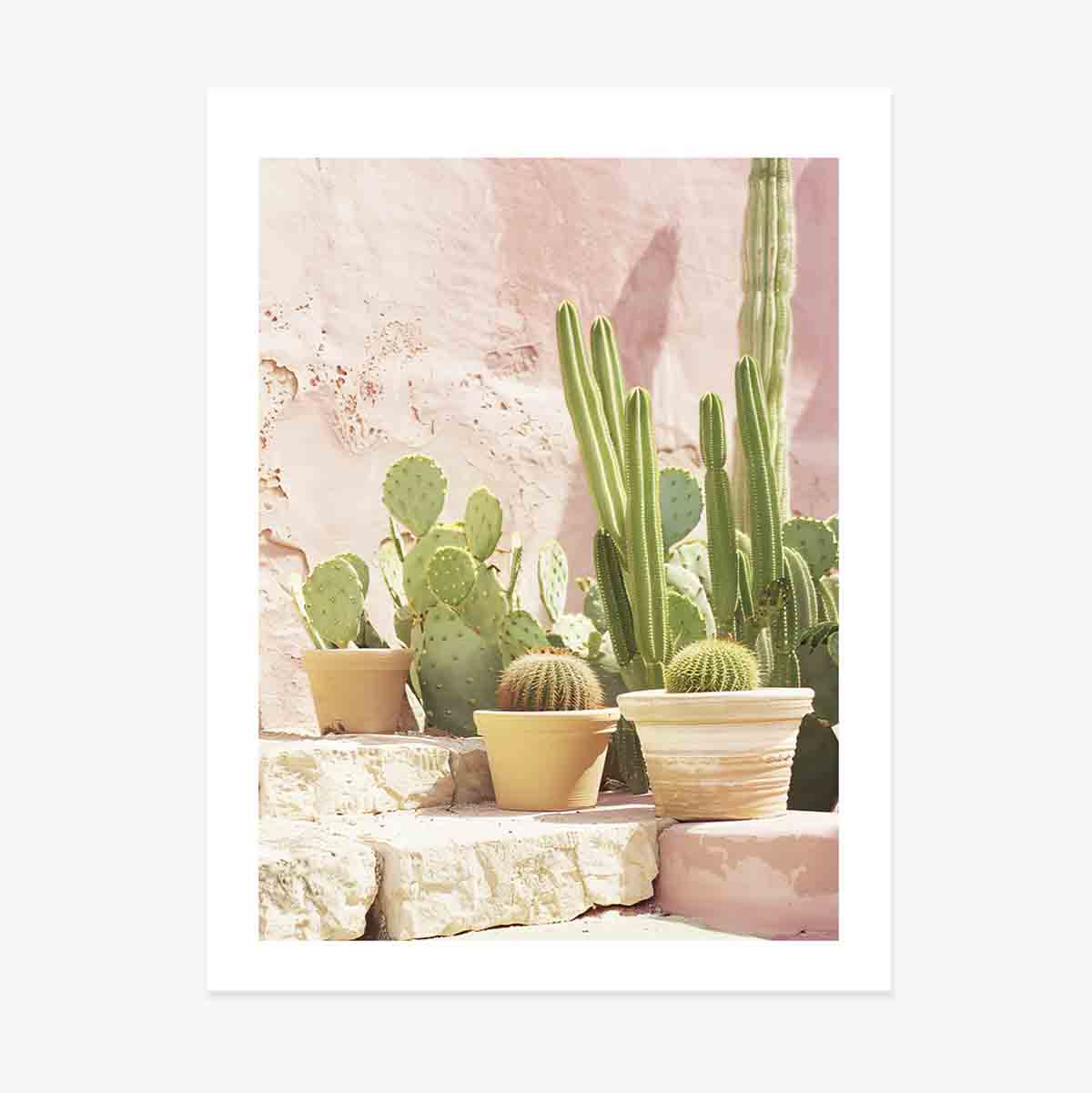 Poster Cactuși