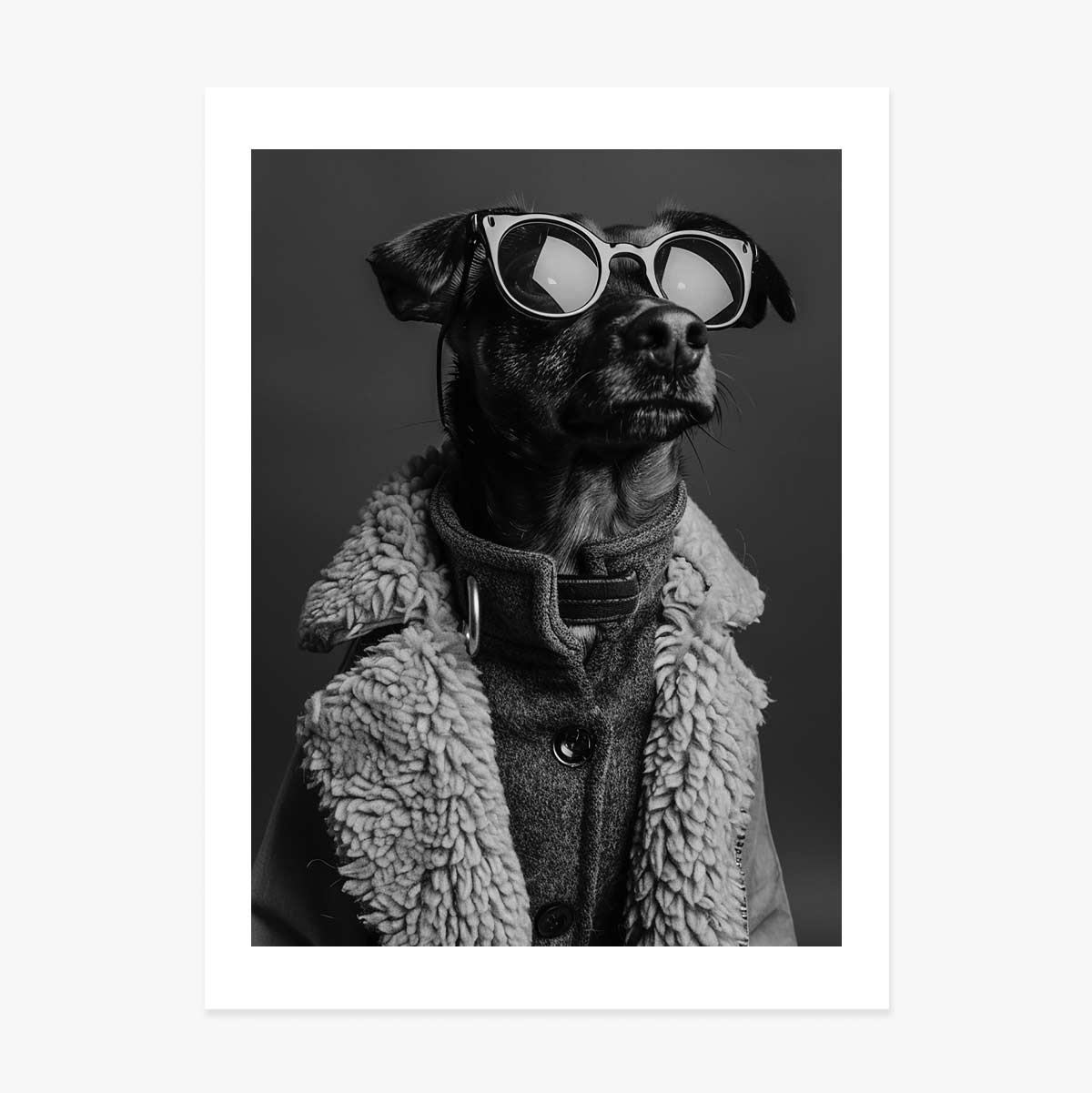 Poster Dog