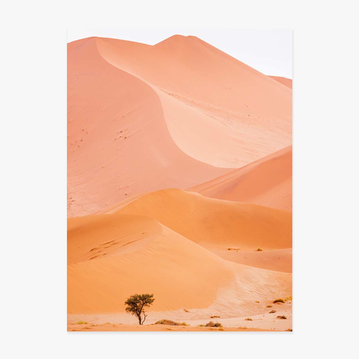 Poster Dunes