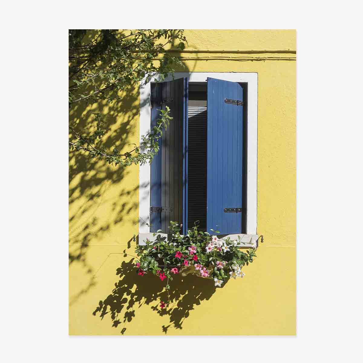 Poster Blue Window with Flowers