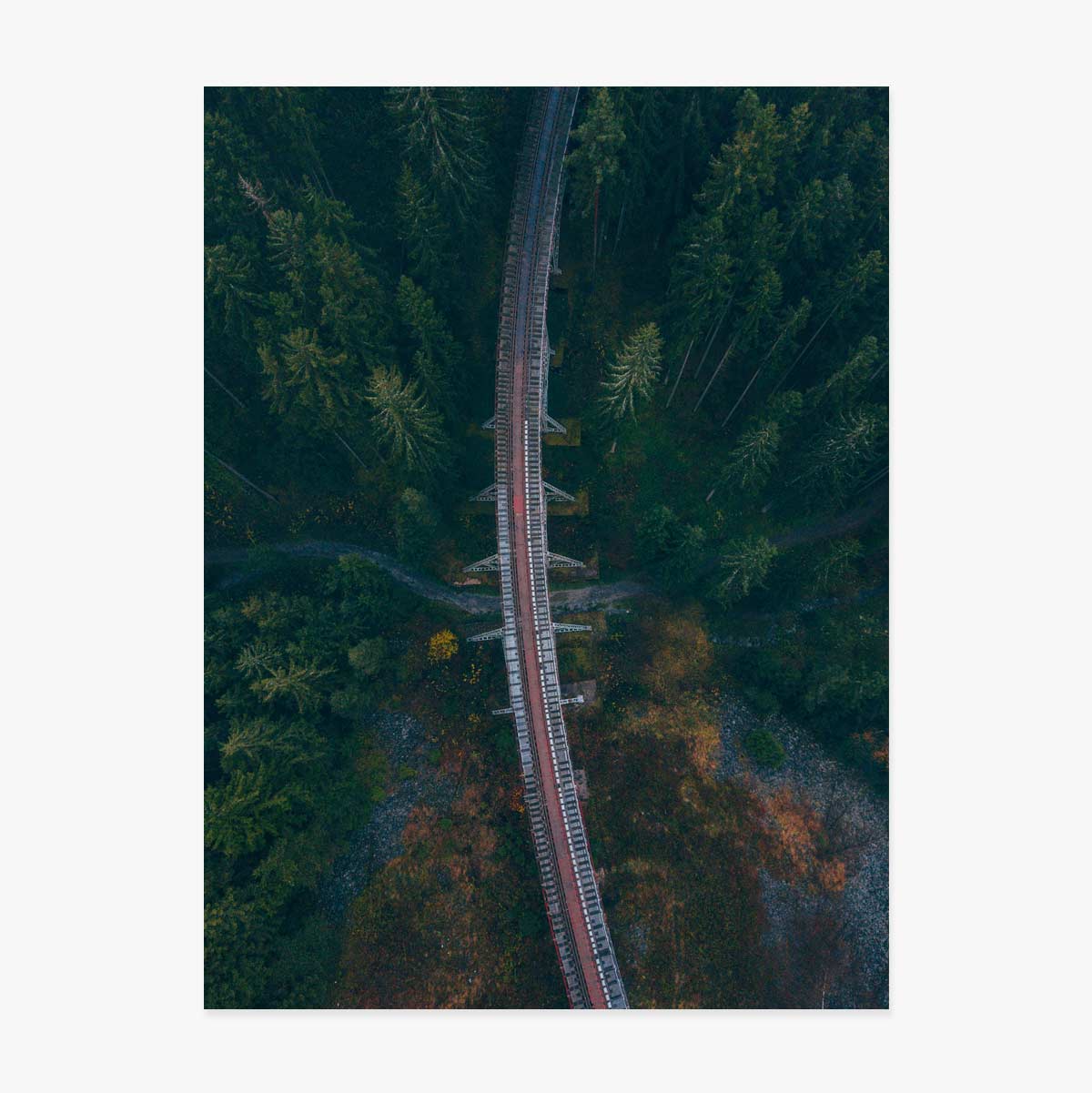 Poster Forest