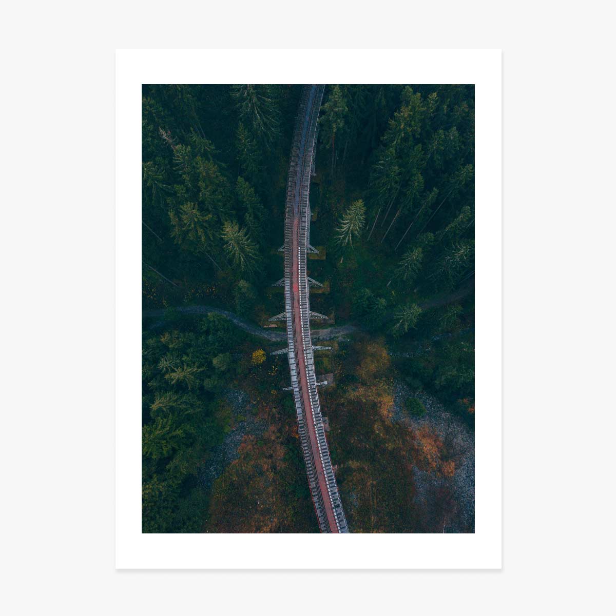 Poster Forest